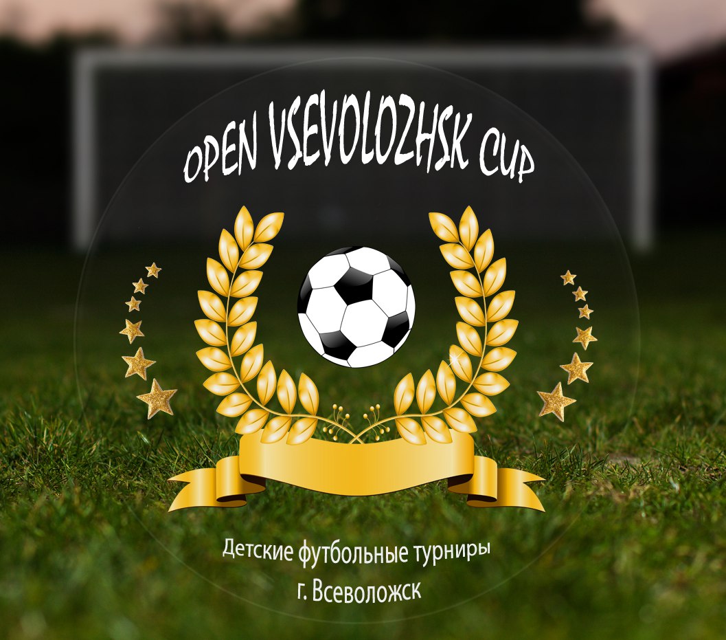 OPEN VSEVOLOZHSK CUP